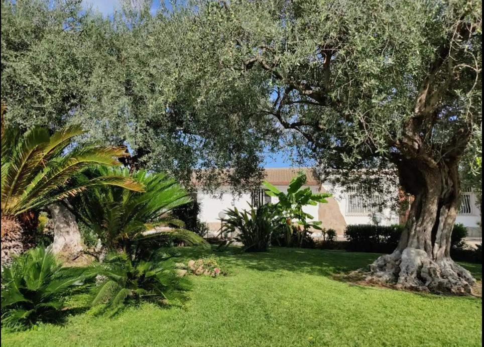 Villa Antonella Augusta Exteriér fotografie